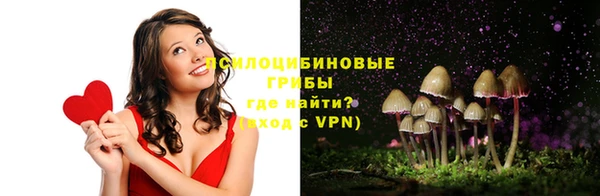 ГАЛЛЮЦИНОГЕННЫЕ ГРИБЫ Саяногорск