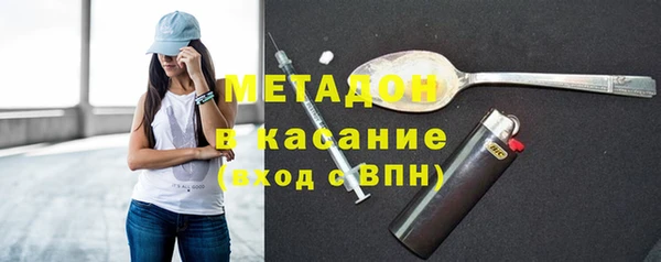 шишки Арсеньев