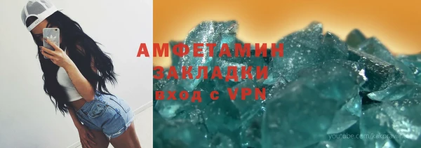 шишки Арсеньев