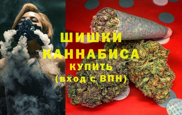 шишки Арсеньев
