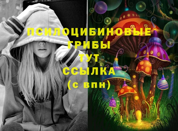 гашиш Аркадак