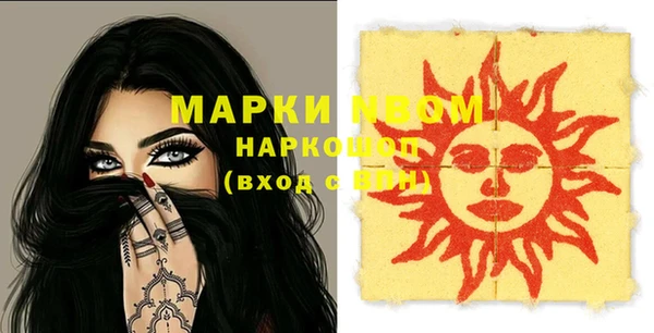 шишки Арсеньев