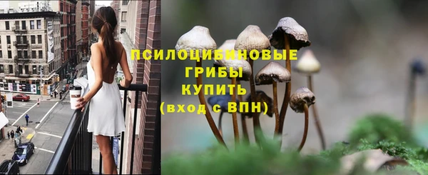 дмт Сатка