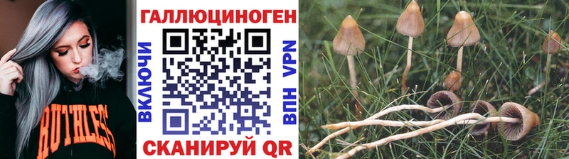 Галлюциногенные грибы Cubensis  где можно купить   OMG ссылка  Исилькуль 